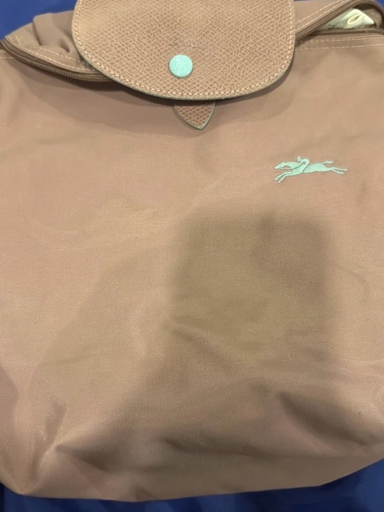 Longchamp Handbags - Longchamp Taupe Nylon Backpack with Mint Logo Accent
